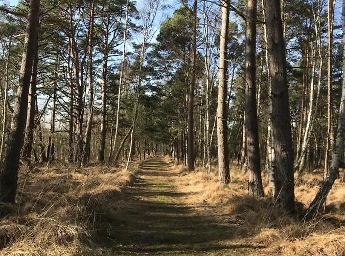 Lägenhet Ostseetraum - Und Mee *